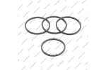 Комплект уплотнительных колец (4шт.)