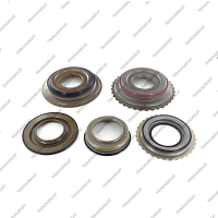 Комплект поршней (5шт., обрезиненные)*