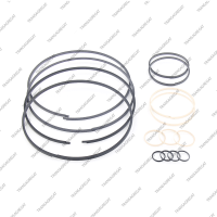 Комплект уплотнительных колец (15шт.)*