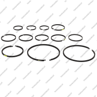 Комплект уплотнительных колец (12шт.)