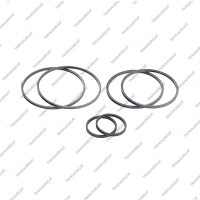 Комплект уплотнительных колец (6шт.)