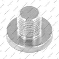 Пробка поддона сливная