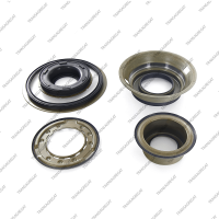 Комплект поршней (5шт., обрезиненные, без 2 поршней сервоприводов)