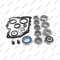 Комплект подшипников, прокладок и сальников*