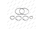 Комплект уплотнительных колец (6шт.)*