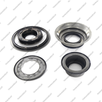 Комплект поршней (5шт., обрезиненные, без 2 поршней сервоприводов)