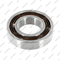 Подшипник ведомого шкива задний (тип 1, 43x87x19.0, шариковый, пластиковый сепаратор)*